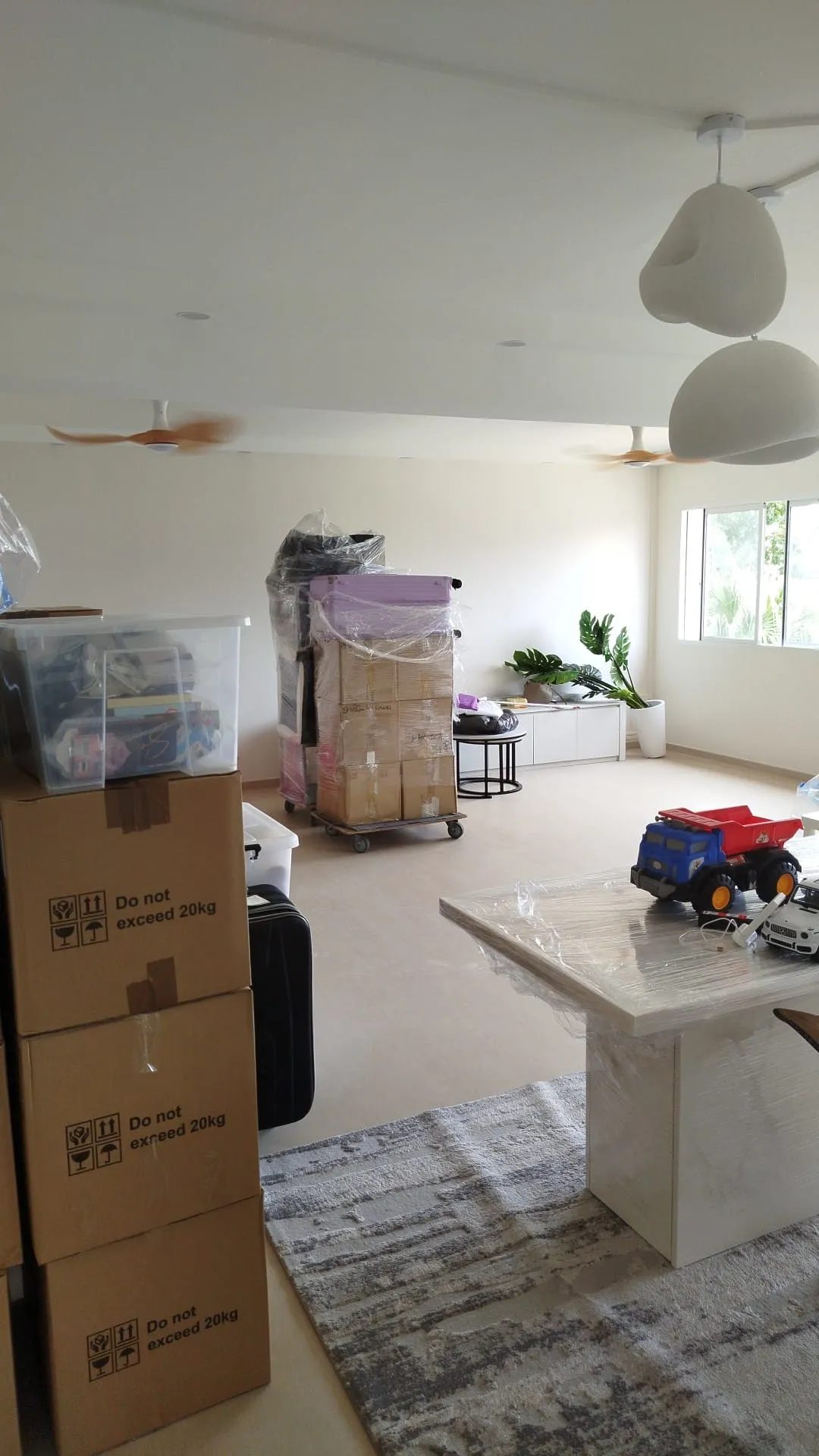 Mahi Interior Pte Ltd interior project 12