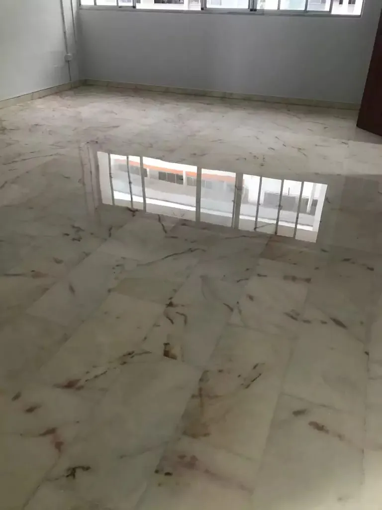 RENO ENGINEERING PTE. LTD Project 1