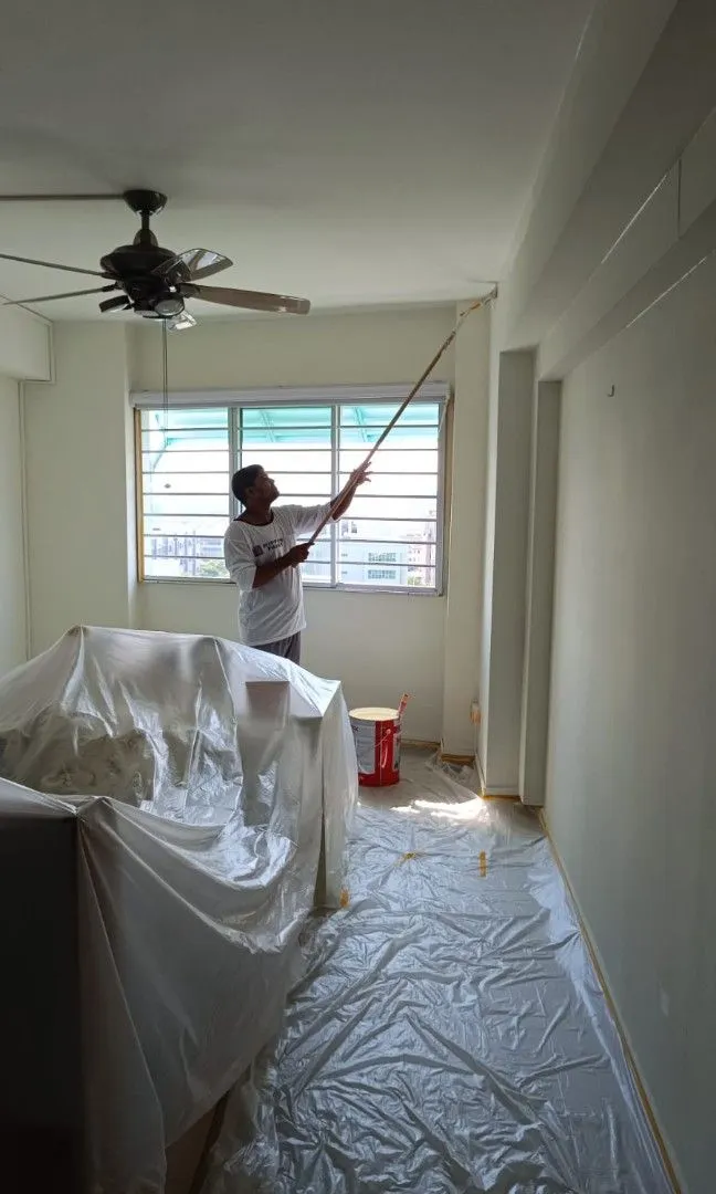 Portfolio project 7