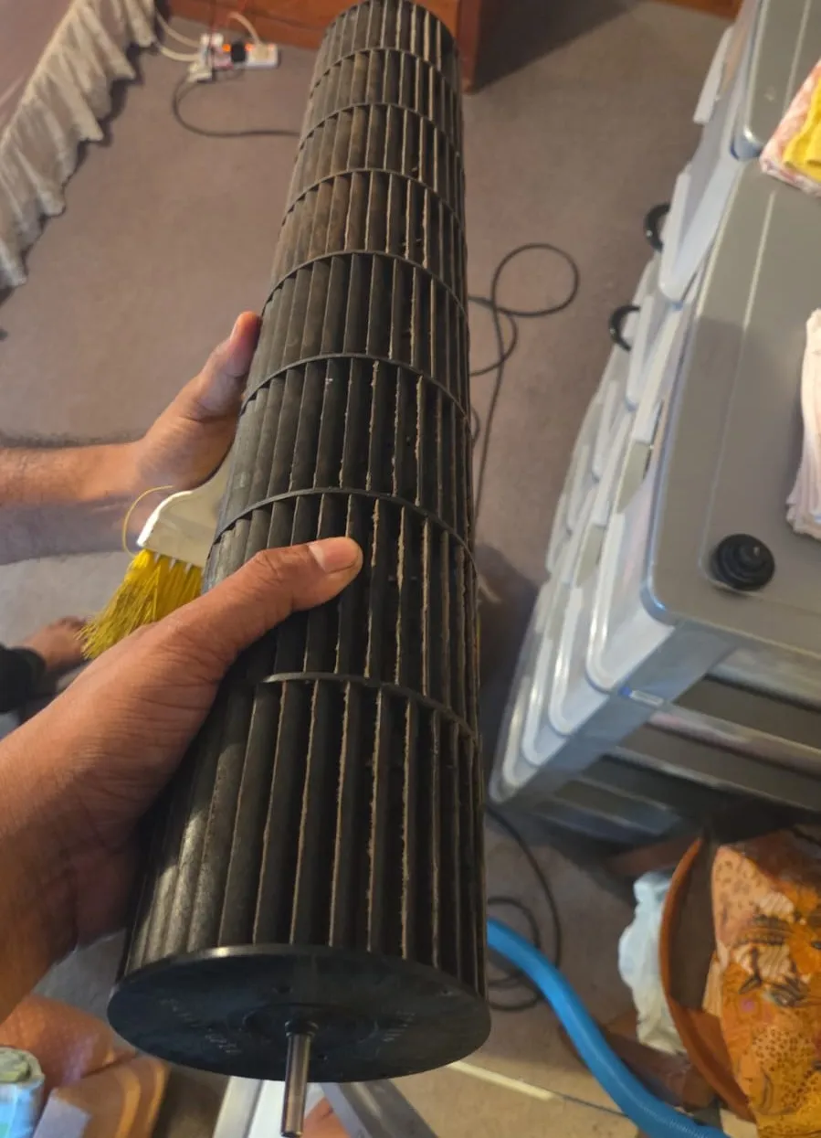 Condenser Cleaning